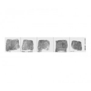 Fingerprint Replacement Record Strip - Left & Right Hand - 100 each hand